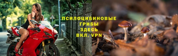 дмт Нягань