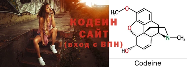 дурь Няндома