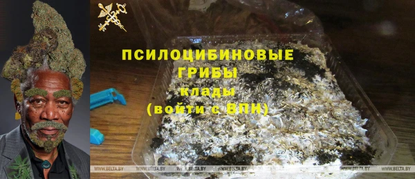 дурь Няндома