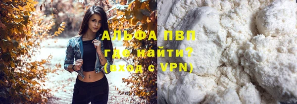 дурь Няндома