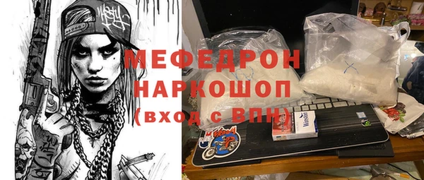 дурь Няндома