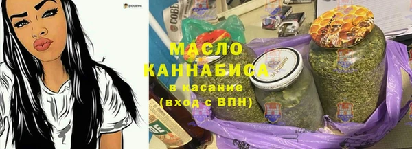 дурь Няндома