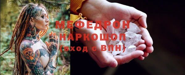 дурь Няндома