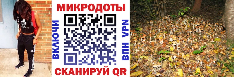 Псилоцибиновые грибы ЛСД  Купить где  Урень 