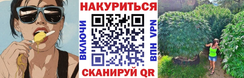 Каннабис MAZAR Урень